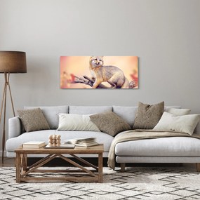 Obraz - Líška (120x50 cm)
