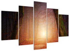 Obraz jesenného lesa v hmle (150x105 cm)