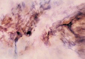 Fototapeta - Ružová abstrakcia (147x102 cm)