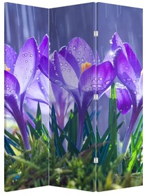 Paraván - Kvety v daždi (126x170 cm)