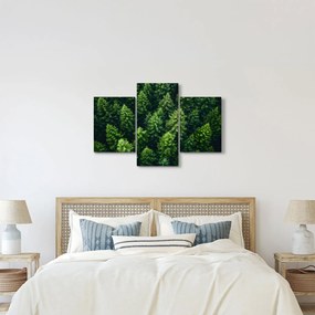 Obraz - Les (90x60 cm)