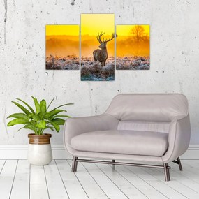 Obraz - Jeleň pri východe slnka (90x60 cm)