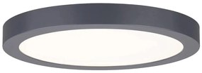 Paulmann 70988 - LED/22W Stropné svietidlo ABIA 230V antracit