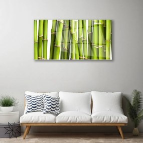 Skleneny obraz Bambus rastlina príroda 125x50 cm