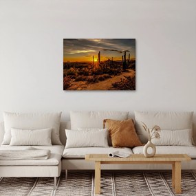 Obraz - Koniec dňa v arizonskej púšti (70x50 cm)