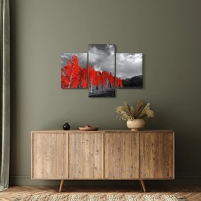 Obraz - Stromy vo farbe jesene (90x60 cm)