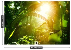 Fototapeta Vliesová Džungľa vietnam 416x254 cm