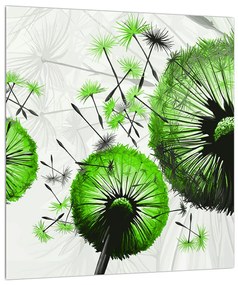 Obraz páperia zelených púpav (30x30 cm)