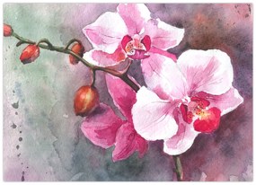 Sklenený obraz - Orchidey, aquarel (70x50 cm)