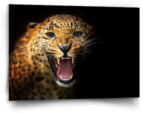 Sablio Obraz Gepard 2 - 90x60 cm