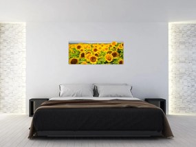 Obraz - Slnečnica (120x50 cm)