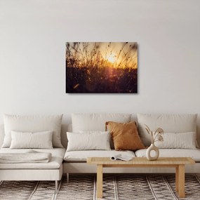 Sklenený obraz poľa pri západe slnka (70x50 cm)