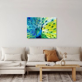 Sklenený obraz páva (70x50 cm)