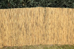 Rákosová zástena na plot Výška plota: 140 cm, Dĺžka plota: 600 cm