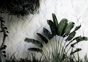 Fototapeta - Listy (254x184 cm)