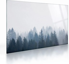 Sklenený obraz - Zahmlený les (70x50 cm)