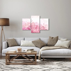 Obraz - Rozkvet (90x60 cm)
