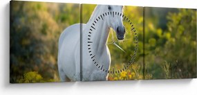 Obraz bieleho koňa na lúke (s hodinami) (90x30 cm)