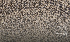 Diamond Carpets India, Ručne viazaná rohožka Eclipse J 53 Natural, 50x80, béžová, chodba / predsieň