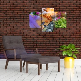 Obraz - letný piknik (90x60 cm)