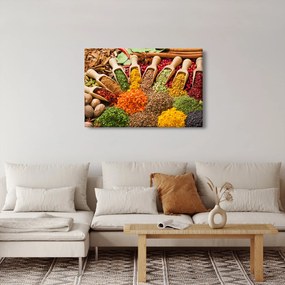 Obraz - Korenie z celého sveta (90x60 cm)