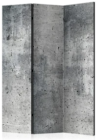 Artgeist Paraván - Fresh Concrete [Room Dividers]