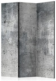 Artgeist Paraván - Fresh Concrete [Room Dividers]