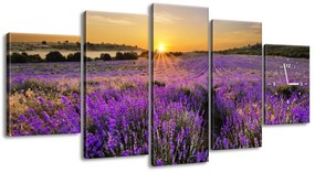 Gario Obraz s hodinami Levanduľové pole - 5 dielny Rozmery: 150 x 70 cm