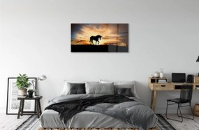 Sklenený obraz Unicorn sunset 100x50 cm
