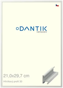 DANTIK rám na obraz 21x29,7 | ALU Bílá matná (Sklo Čiré)
