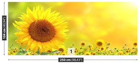 Fototapeta Vliesová Žlté slnečnice 152x104 cm
