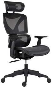 ANTARES Kancelárska stolička ESTER čierna