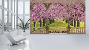 Fototapeta - Klenba - strom lesné drevo krajina (152,5x104 cm)