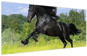 Obraz - Kôň s vzdušnou hrivou (120x50 cm)