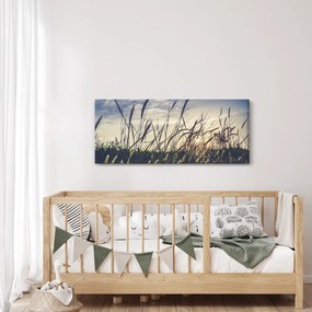 Obraz lúčnych kvetov (120x50 cm)
