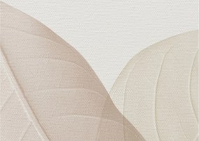 Obraz - Texturované listy (70x50 cm)