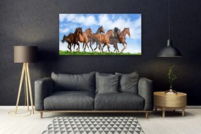 Obraz plexi Cválajúci kone na pastvine 120x60 cm