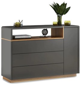 Komoda FRED s zásuvkou, antracit/dub artisan