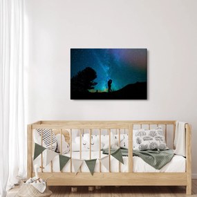Obraz - Stretnutie pod hviezdami (90x60 cm)