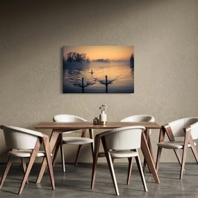 Obraz labutí na vode v hmle (90x60 cm)