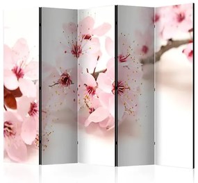 Paraván - Cherry Blossom II [Room Dividers] Veľkosť: 225x172, Verzia: Obojstranný