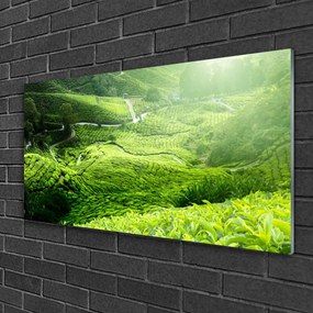 Obraz na skle Lúka príroda 120x60 cm