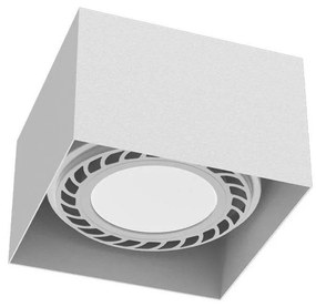 Brosline 1268 - Bodové svietidlo CAGE 1xGU10/18W/230V biele