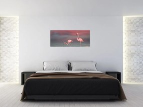 Obraz plameniakov (120x50 cm)