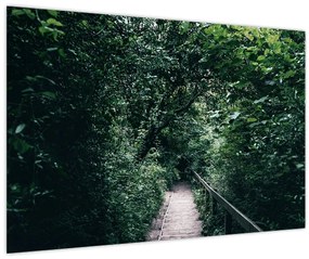 Obraz - Cesta lesom (90x60 cm)