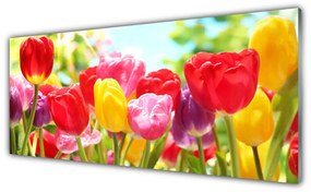 Obraz plexi Tulipány kvety rastlina 125x50 cm