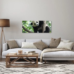 Obraz - Panda na strome (120x50 cm)