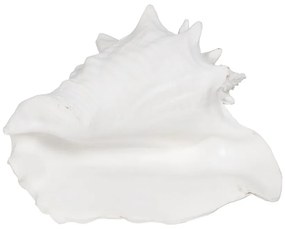Soška z polyresínu (výška 13 cm) Seashell – Ixia