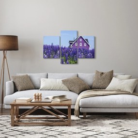 Obraz levanduľového poľa (90x60 cm)