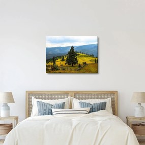 Obraz - Horská lúka (70x50 cm)